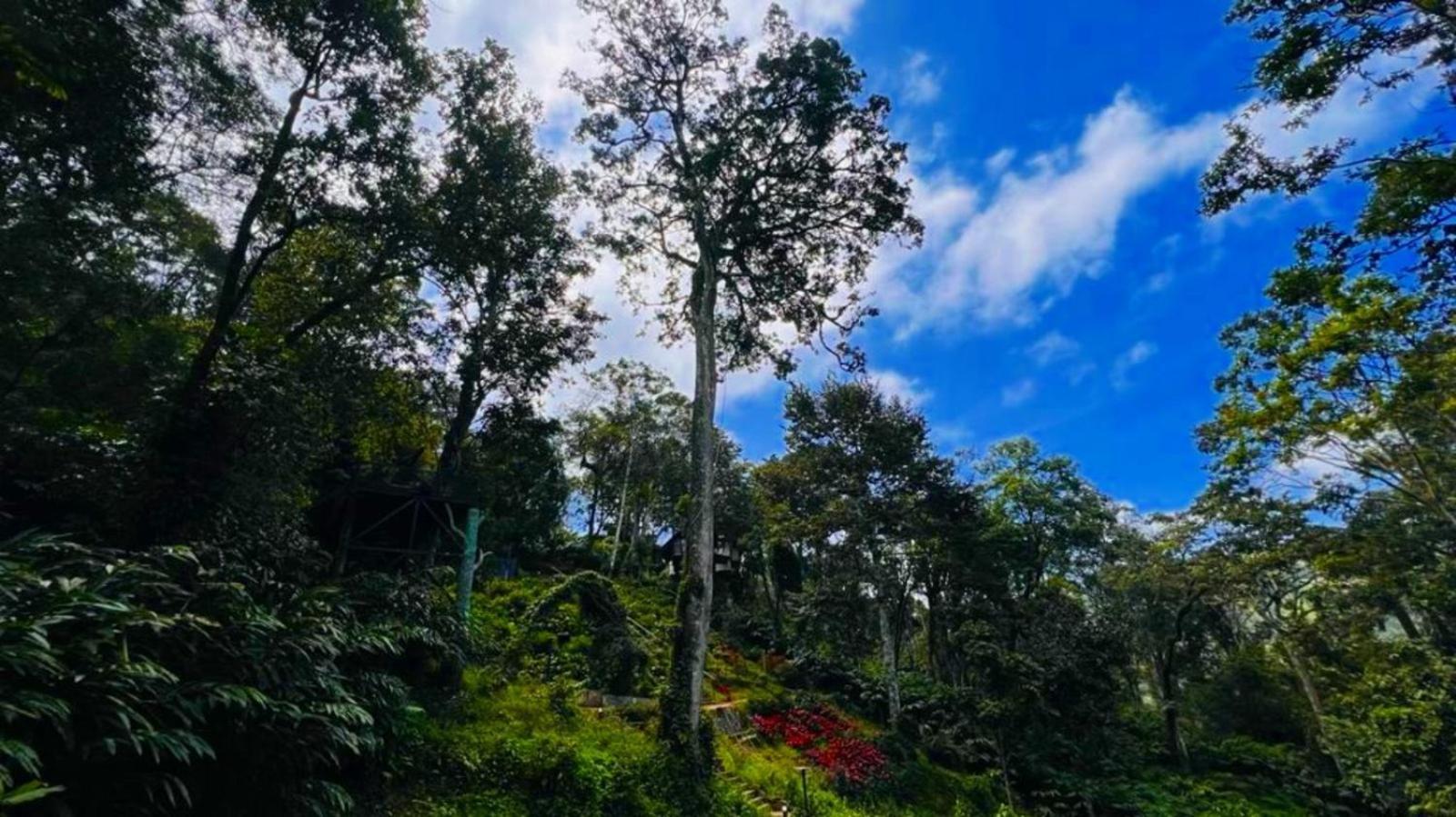 竹戴度假村 蒙纳 外观 照片
